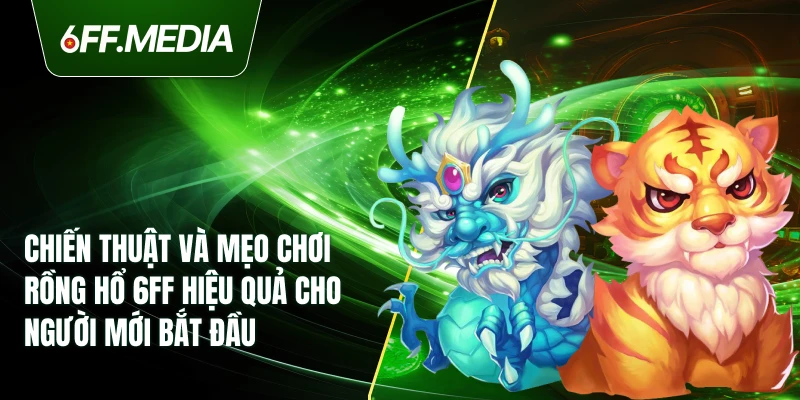 Chiến thuật và mẹo chơi Rồng Hổ 6FF hiệu quả cho người mới bắt đầu