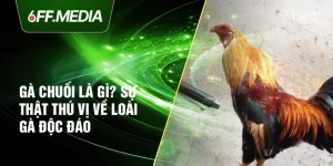 Gà Chuối Là Gì? Sự Thật Thú Vị Về Loài Gà Độc Đáo