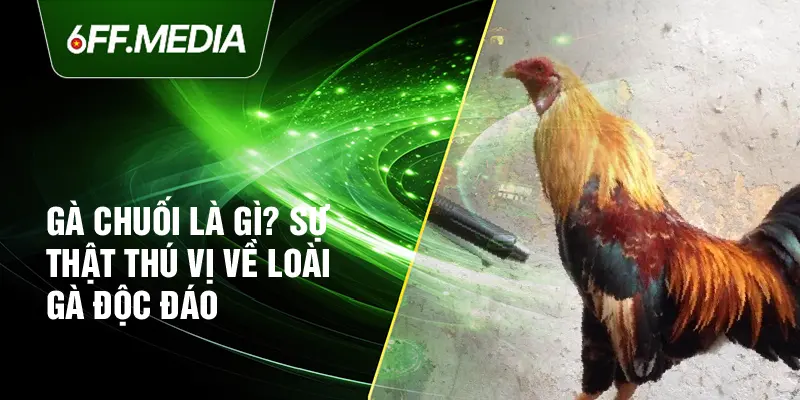 Gà Chuối Là Gì? Sự Thật Thú Vị Về Loài Gà Độc Đáo