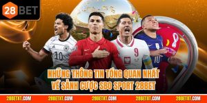 Những thông tin tổng quan về sảnh cá cược thể thao 28bet