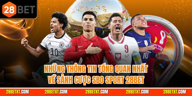 Những thông tin tổng quan về sảnh cá cược thể thao 28bet